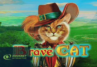 Brave Cat